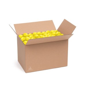 Joola-Unisex-Pickleball-Balls-Accessories-Heleus Pickleballs (100 pack)