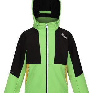 Regatta-Kids-Outdoor-Softshell Jackets-Apparel-Haydenbury-Jasmine Green/Black