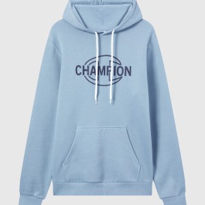 Champion-Men-Hoodies-Apparel-Men's Fleece Hoodie With Graphics-Light Blue